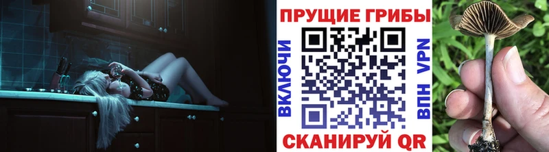 Псилоцибиновые грибы мухоморы  закладка  Чадан 
