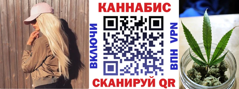 shop Telegram  купить   Чадан  Конопля гибрид 